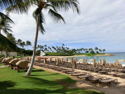 ２年ぶりのハワイ－癒しの楽園でした!!　ショッピング中心の旅　2日目～３日目
