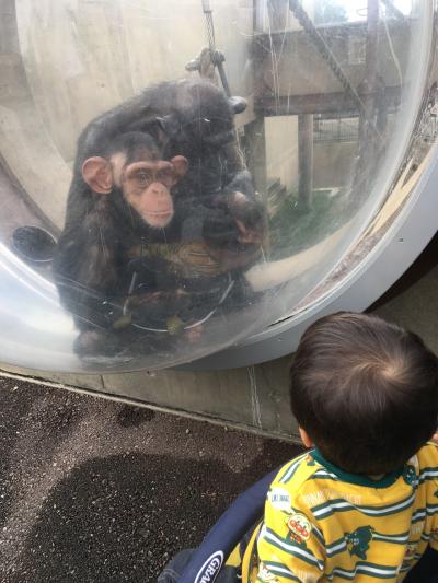 ＊18’9月秋。一歳児と行く旭川子連れ旅行記。。。無料で楽しめる木遊館＆日本最北にある行動展示で有名な旭山動物園へ♪