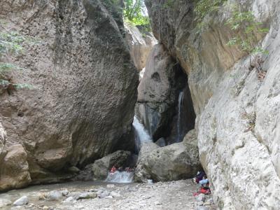 セント・アンドリュー ケイン・リバー滝 (Cane River Falls, St. Andrew)