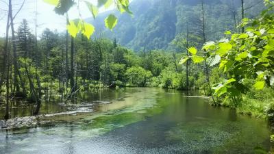 涼しさを求めて栂池高原、上高地