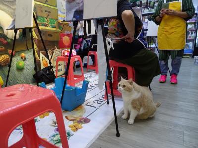 2018最強台風「山竹」襲港（３）クリームファミリー店　クリームあにきの絵画教室開催中