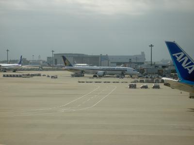 毎年恒例となったシンガポール旅行。シンガポール航空搭乗記（ＮＲＴ→ＳＩＮ　ＳＱ６３７便　Ｂ７８７－１０）。搭乗前成田空港での飛行機ウオッチング。　