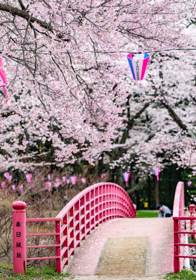 木曽/伊那/駒ヶ根/飯田ぐるり旅【1】～南アルプスと伊那市街地を望む～春日城址公園