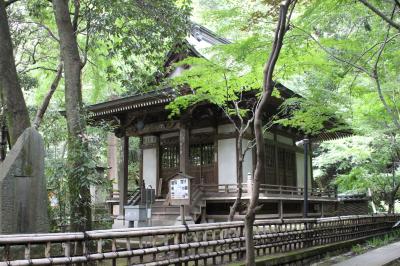 深大寺周辺散策と温泉を楽しむ日帰り旅