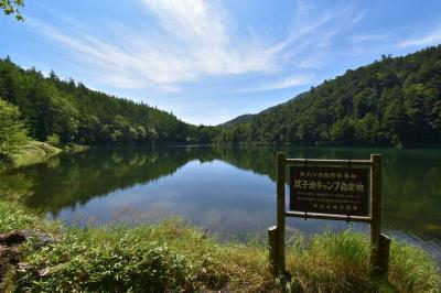 八ヶ岳登山　大河原峠～蓼科山～双子池～双子山