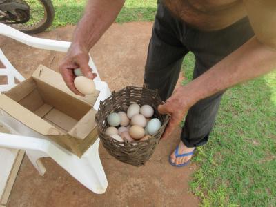 気温４０℃やのにエアコンなしの車で出発しやがった