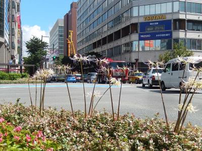 9月の福岡への旅④天神交差点付近の風景