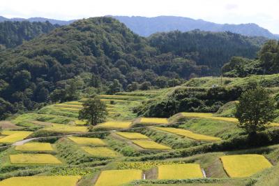 晴れおじさん「日本で最も美しい村」を撮る(その２)