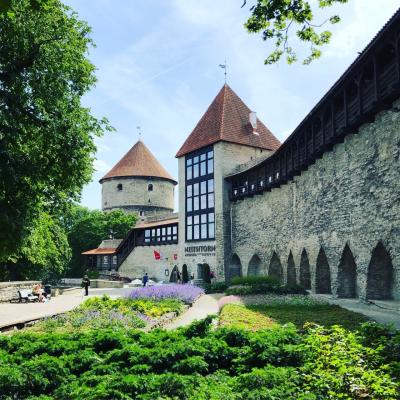 フィンランド&日帰りタリン やりたいことを叶える旅 街歩きが楽しいタリン編