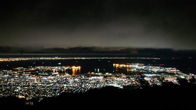 掬星台の夜景と羊