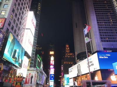【New York】憧れの街・定番スポット回るニューヨーク一人旅　vol.1