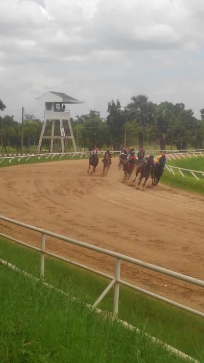 80日間アジア徘徊　コラートでイベントまみれ　４　負師コラート競馬に見参、そして…