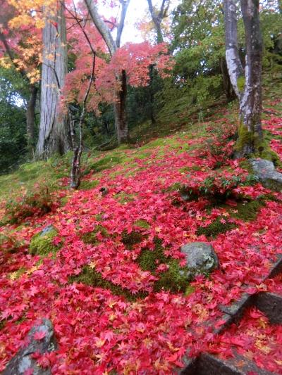 素晴らしい紅葉を見に!いざ京都、奈良へ、テクテク1人旅。嵐山、天龍寺、常寂光院、西芳寺、鈴虫寺②