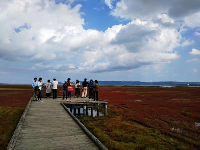 2018.9.15～19　一足早い北海道の紅葉巡り5日間　真っ赤なサンゴ草と鮭の遡上