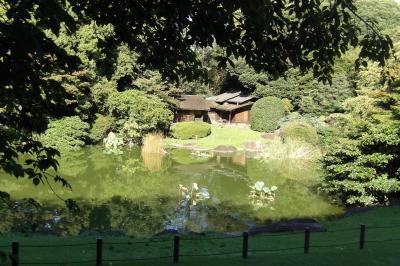 東博本館裏の日本庭園－2018年秋