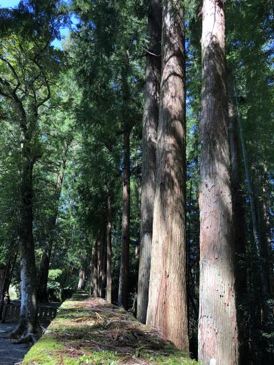 和歌山・熊野三山巡り