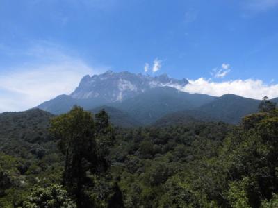 キナバル山登山とオラウータン探し