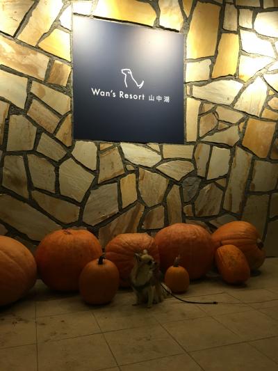 母娘旅　2018年　+わんこも一緒。　Ｗａｎ’ｓ　Ｒｅｓｏｒｔ　山中湖。