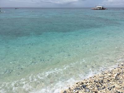 セブ島：オスロブまで行ってジンベエザメを見れなかった旅