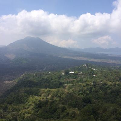 017)アホな夫婦のバリ/ウブド【4日目:カーチャーターで観光、そして最後のスパ】