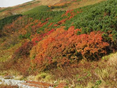 立山の紅葉はすでに見頃です！　2018年立山黒部アルペンルート紅葉情報