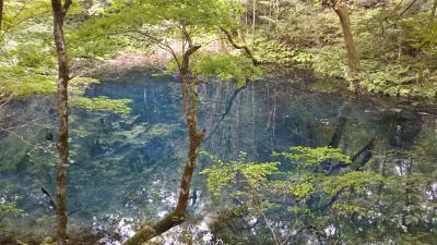 2018年9月・白神山地トレイルラン