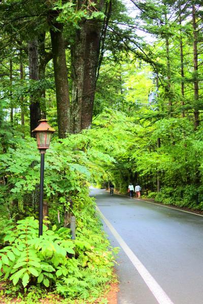 軽井沢・日帰りドライブ マイナスイオンと美味しいものたっぷり吸収しました!