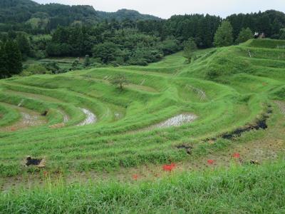 大山千枚田へドライヴ！