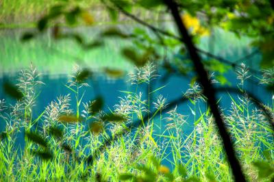 ◆初秋の裏磐梯 bura★j-ryu　②(銅沼＆五色沼 編)