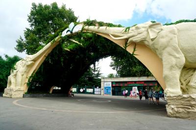 上海で3泊4日ひとり旅・３日め前編＝上海動物園を歩き回りカフェで財布を落とす＝