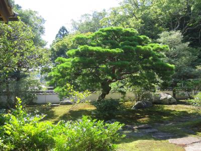 イギリスからきた友人と城下町長府を歩く