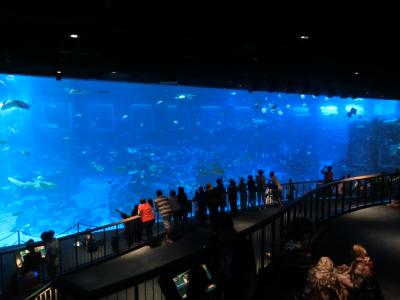 シンガポールへ！　その３　セントーサの水族館へ。PART２　巨大水槽はギネス記録になってるんですねー！