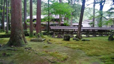 叡智の森・日用神社の苔を鑑賞する  