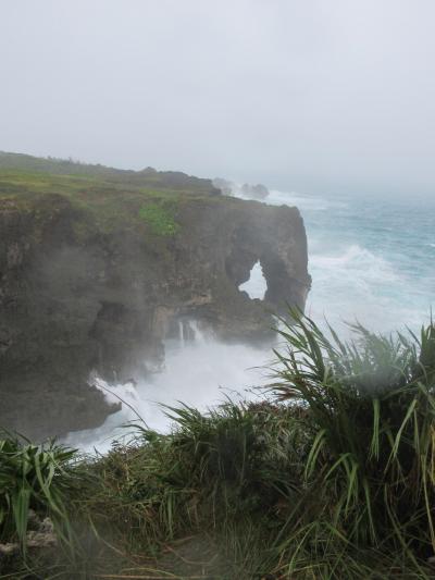 恐るべきチャーミー　初沖縄は台風直撃の旅　その３