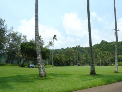 ハワイ島、車いす中年男一人旅 3/12