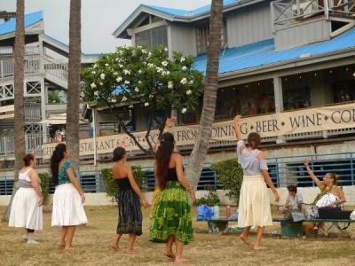 ハワイ島、車いす中年男一人旅 8/12