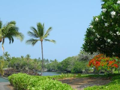 ハワイ島、車いす中年男一人旅 10/12