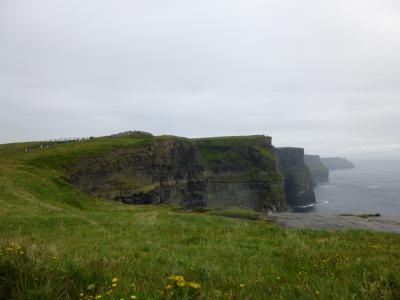 アイルランドで夏休み　７　絶景＆スリル満点、これぞ断崖絶壁！in モハーの断崖