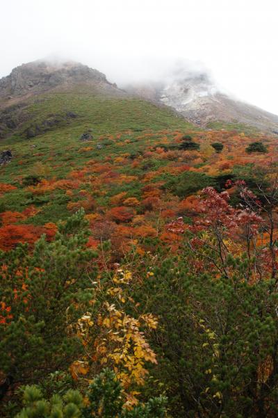 那須姥が平の紅葉