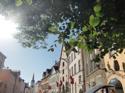 中世にタイムスリップ!エストニア・タリン☆ヘルシンキから日帰りshort trip!