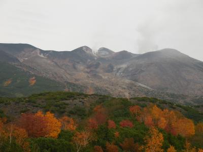 紅葉だより