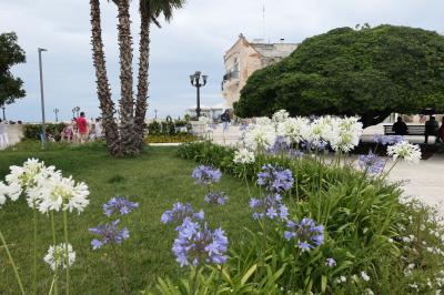 美しき南イタリア旅行♪　Vol.402(第14日）☆オートラント：花いっぱいのドンノ広場♪