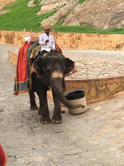 2018.07 インド旅行記④