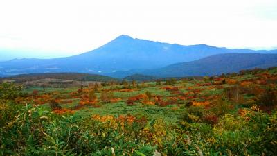 紅葉の宝石箱の八幡平　