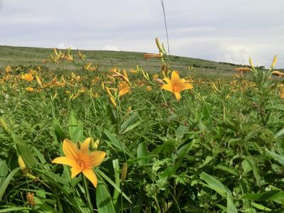 2018夏　信州ミニハイキング