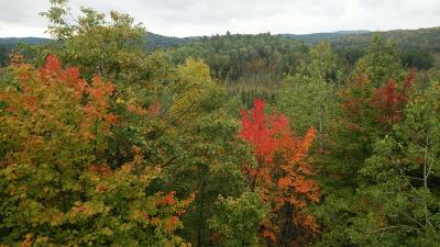 溢れる紅葉を訪ねて「秋のメープル街道7日間③アルゴキン州立公園