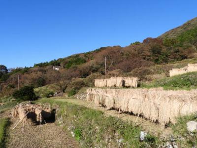 しずおか・南伊豆　石部の棚田 展望台にて 2018夏