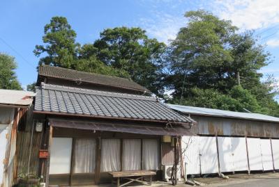 2018秋、尾張の名城(3/12)：犬山城(3)：木ノ下城址(3)：犬山城下町、愛宕神社から西蓮寺