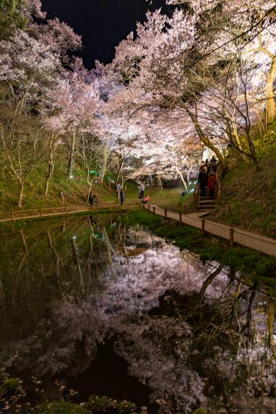 木曽/伊那/駒ヶ根/飯田ぐるり旅【4】～天下第一の桜～高遠城址公園【後編】