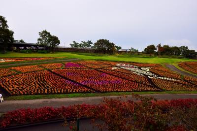 くじゅう花公園　2018秋